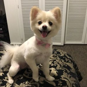 Meet your Posher, Stacy